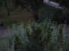 PA060004.jpg (56807 bytes)